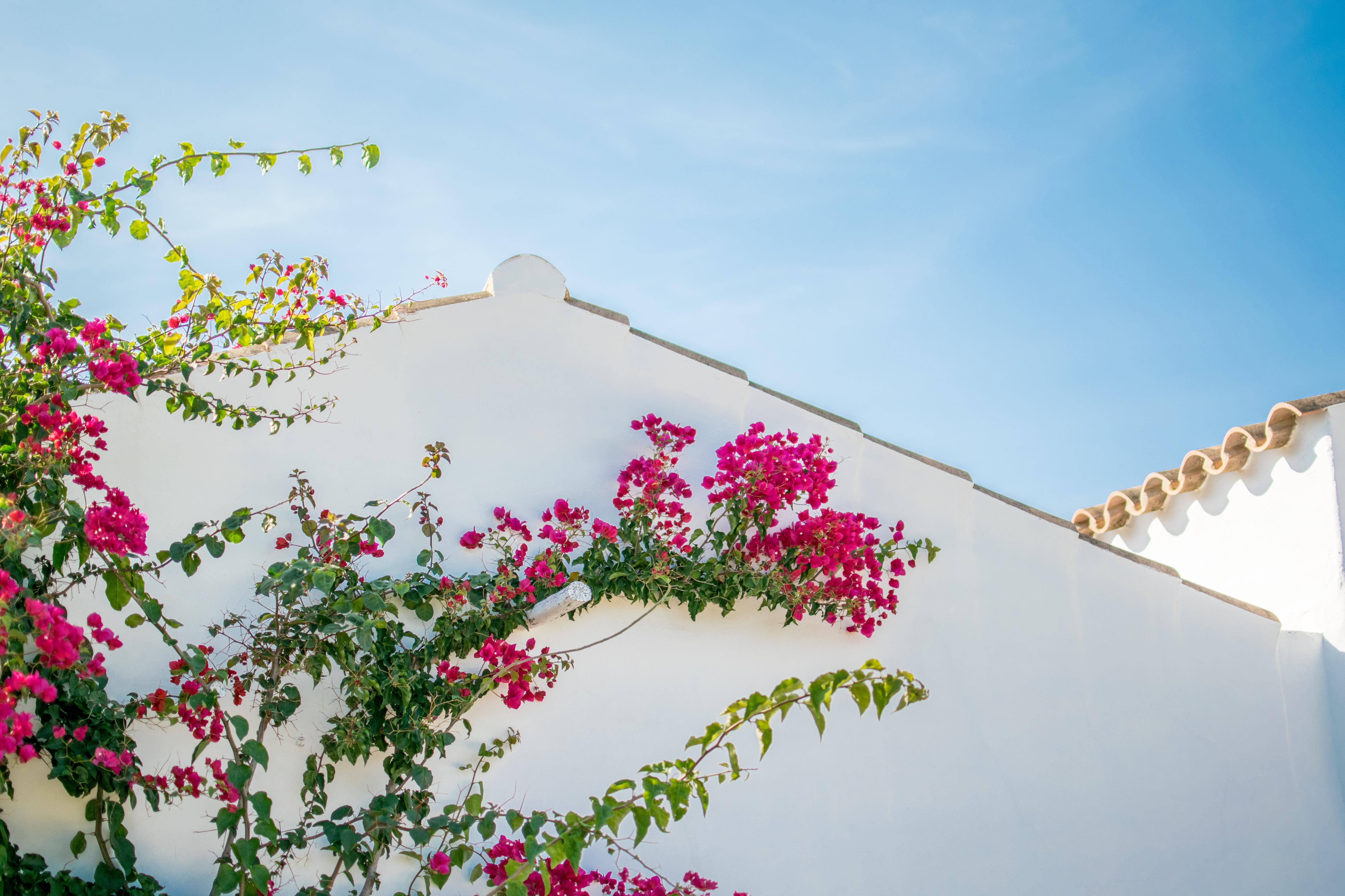 Torralbenc, A Small Luxury Hotel Of The World Cala En Porter  Exterior photo