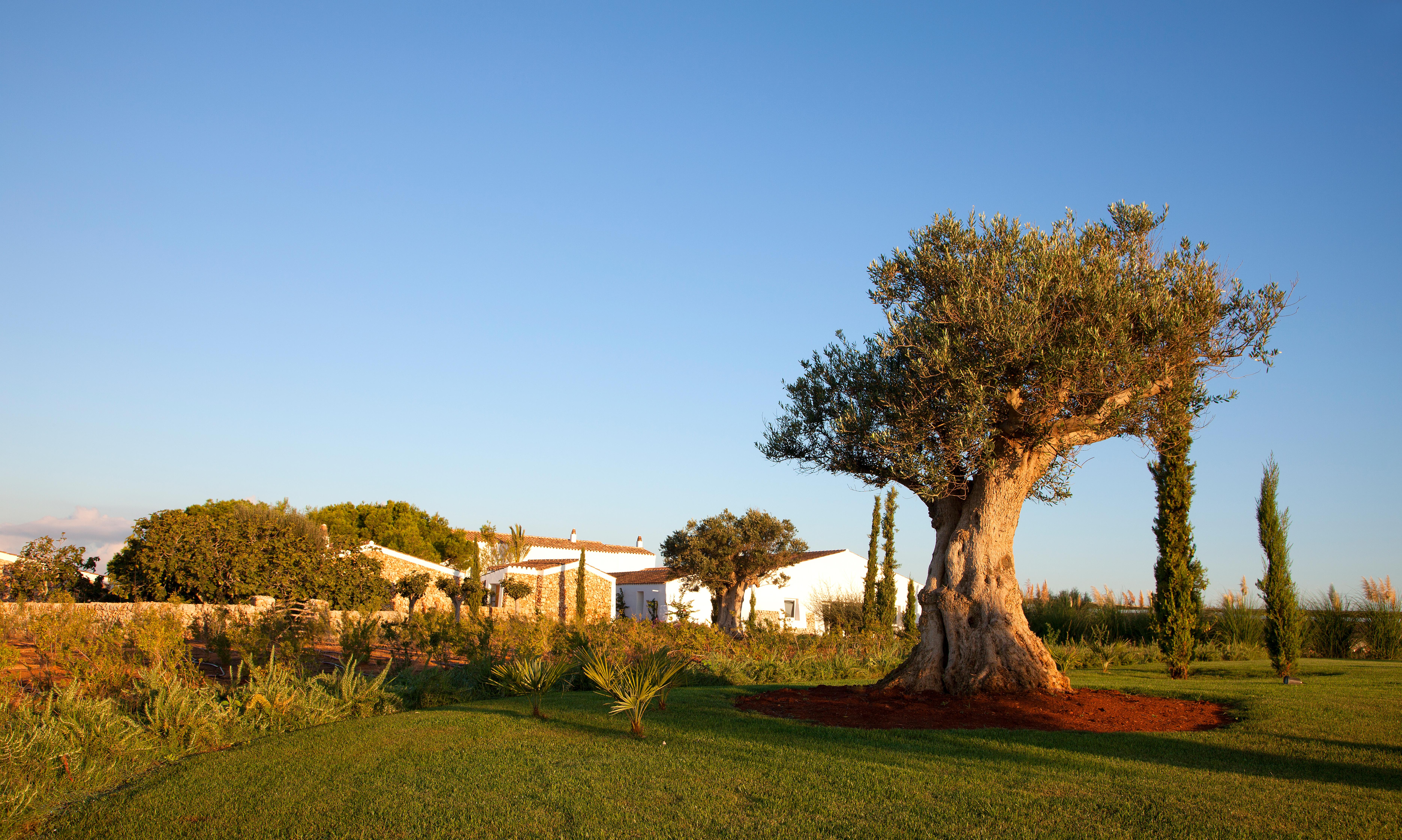 Torralbenc, A Small Luxury Hotel Of The World Cala En Porter  Exterior photo